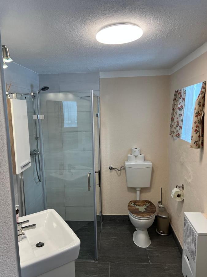 Kleine Ahornau Villa Schladming Bagian luar foto
